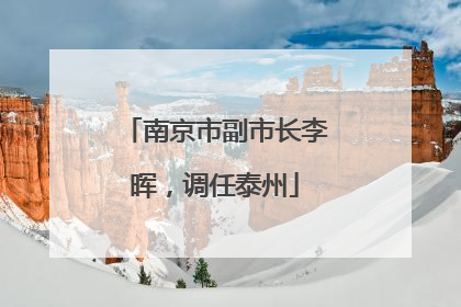 南京市副市长李晖，调任泰州