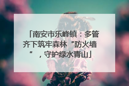 南安市乐峰镇：多管齐下筑牢森林“防火墙”，守护绿水青山