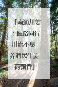 南通川姜：医路同行川流不息 养润民生姜荷飘香