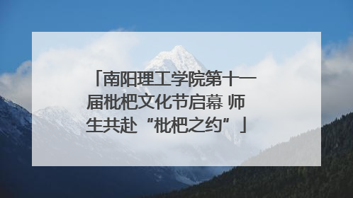 南阳理工学院第十一届枇杷文化节启幕 师生共赴“枇杷之约”