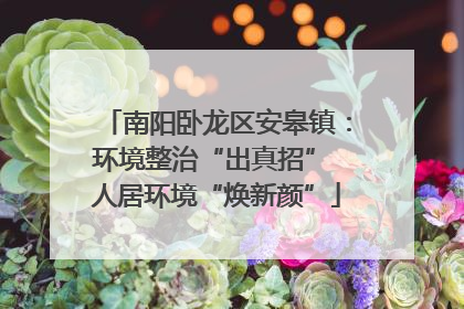 南阳卧龙区安皋镇：环境整治“出真招” 人居环境“焕新颜”