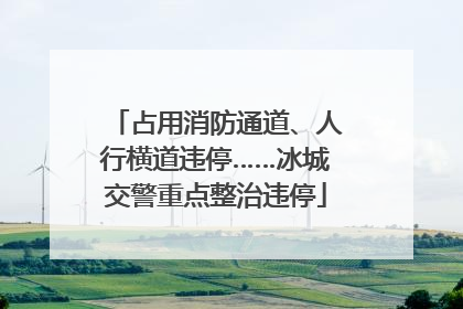 占用消防通道、人行横道违停……冰城交警重点整治违停