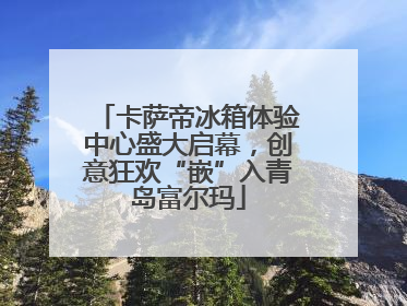 卡萨帝冰箱体验中心盛大启幕，创意狂欢“嵌”入青岛富尔玛