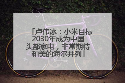 卢伟冰：小米目标2030年成为中国头部家电，非常期待和美的海尔并列