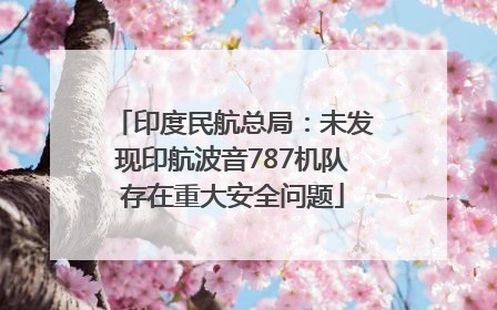 印度民航总局：未发现印航波音787机队存在重大安全问题