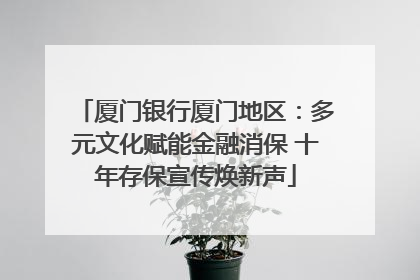 厦门银行厦门地区：多元文化赋能金融消保 十年存保宣传焕新声