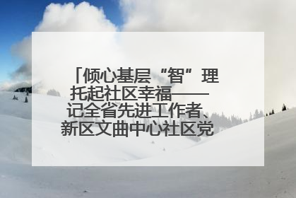 倾心基层“智”理 托起社区幸福——记全省先进工作者、新区文曲中心社区党委书记董世弘