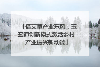 借艾草产业东风，玉玄道创新模式激活乡村产业振兴新动能