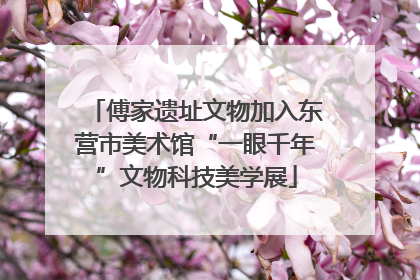 傅家遗址文物加入东营市美术馆“一眼千年”文物科技美学展