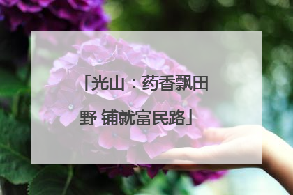 光山：药香飘田野 铺就富民路