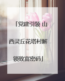 党建引领 山西灵丘花塔村解锁致富密码