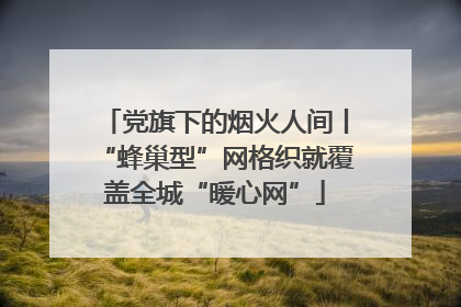 党旗下的烟火人间丨“蜂巢型”网格织就覆盖全城“暖心网”