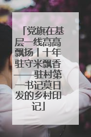 党旗在基层一线高高飘扬丨十年驻守米飘香——驻村第一书记莫日发的乡村印记