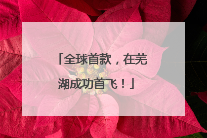 全球首款，在芜湖成功首飞！