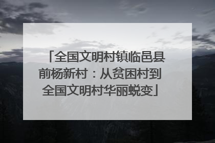 全国文明村镇临邑县前杨新村：从贫困村到全国文明村华丽蜕变