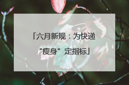六月新规：为快递“瘦身”定指标