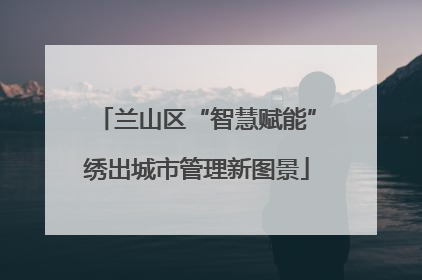 兰山区“智慧赋能”绣出城市管理新图景