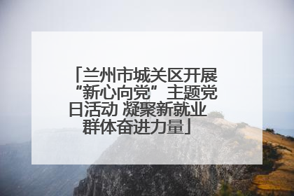 兰州市城关区开展“新心向党”主题党日活动 凝聚新就业群体奋进力量