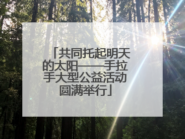 共同托起明天的太阳——手拉手大型公益活动圆满举行