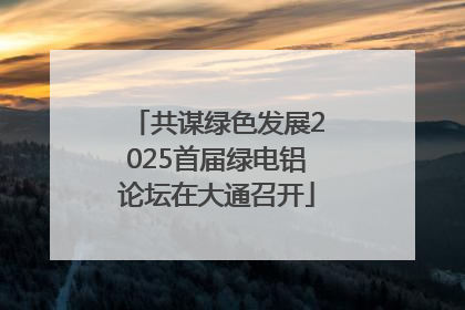 共谋绿色发展2025首届绿电铝论坛在大通召开