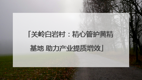 关岭白岩村：精心管护黄精基地 助力产业提质增效
