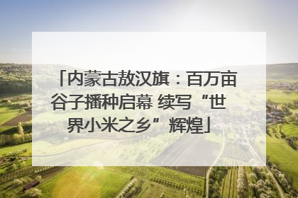 内蒙古敖汉旗：百万亩谷子播种启幕 续写“世界小米之乡”辉煌