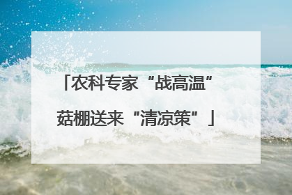 农科专家“战高温” 菇棚送来“清凉策”