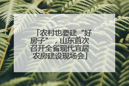 农村也要建“好房子”，山东首次召开全省现代宜居农房建设现场会