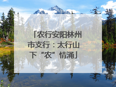 农行安阳林州市支行：太行山下“农”情涌