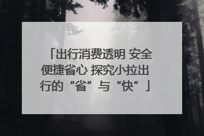 出行消费透明 安全便捷省心 探究小拉出行的“省”与“快”