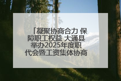凝聚协商合力 保障职工权益 大通县举办2025年度职代会暨工资集体协商现场观摩交流活动