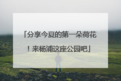 分享今夏的第一朵荷花！来杨浦这座公园吧