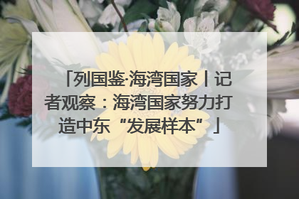 列国鉴·海湾国家丨记者观察：海湾国家努力打造中东“发展样本”