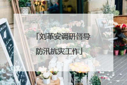 刘革安调研督导防汛抗灾工作