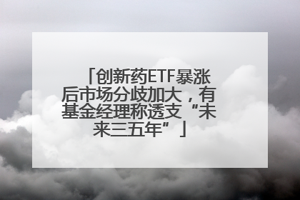 创新药ETF暴涨后市场分歧加大，有基金经理称透支“未来三五年”