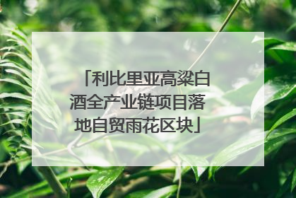 利比里亚高粱白酒全产业链项目落地自贸雨花区块
