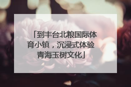 到丰台北粮国际体育小镇，沉浸式体验青海玉树文化
