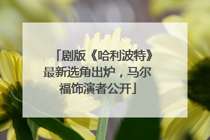 剧版《哈利波特》最新选角出炉，马尔福饰演者公开