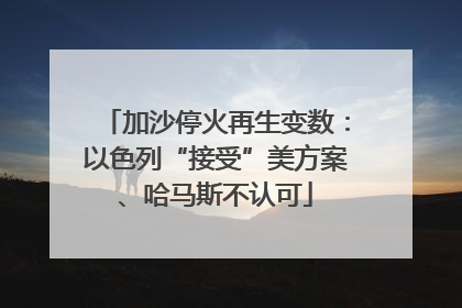 加沙停火再生变数：以色列“接受”美方案、哈马斯不认可