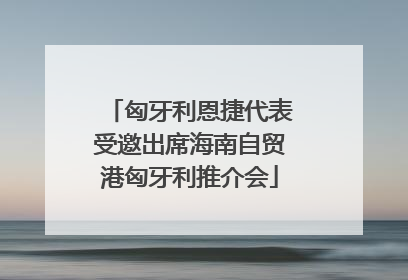 匈牙利恩捷代表受邀出席海南自贸港匈牙利推介会