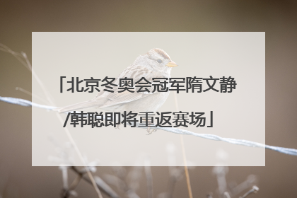 北京冬奥会冠军隋文静/韩聪即将重返赛场