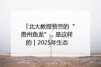 北大教授赞誉的“贵州鱼龙”，是这样的｜2025年生态文明贵阳国际论坛