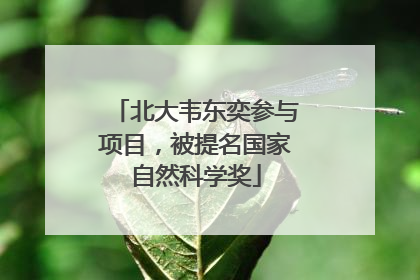 北大韦东奕参与项目，被提名国家自然科学奖