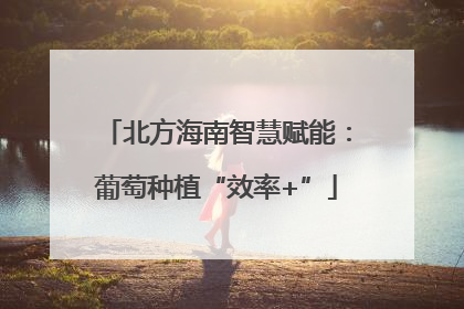 北方海南智慧赋能：葡萄种植“效率+”