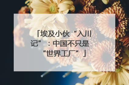 埃及小伙“入川记”：中国不只是“世界工厂”