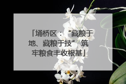 埇桥区：“藏粮于地、藏粮于技” 筑牢粮食丰收根基
