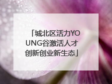 城北区活力YOUNG谷激活人才创新创业新生态