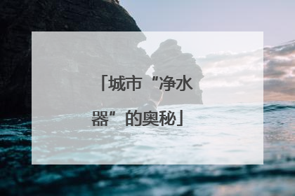 城市“净水器”的奥秘