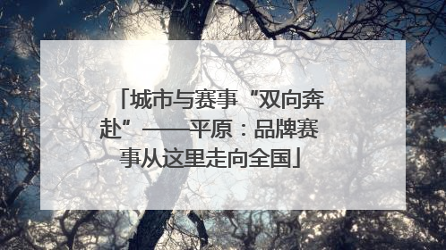 城市与赛事“双向奔赴”——平原：品牌赛事从这里走向全国