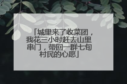 城里来了收菜团，我花三小时赶去山里串门，带回一群七旬村民的心愿